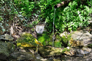 Крым, родник на горе Мангуп