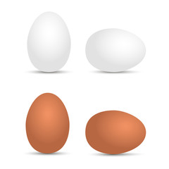 Realistic white and brown eggs. Vector illustration