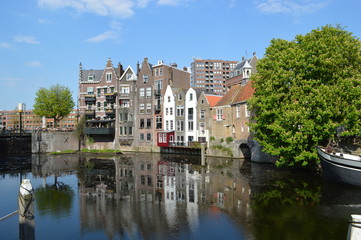 Fototapeta na wymiar Rotterdam in Netherlands