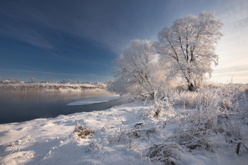 A Real Russian Winter. Morning Frosty Winter Landscape With Dazzling White Snow And Hoarfrost,River And Saturated Blue Sky. Foggy  River Bank With Frost-Covered Trees And Crispy Reeds In The Frost.

