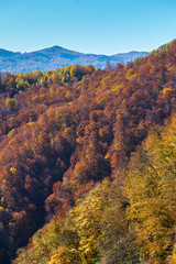 autumn landscape in the mountains