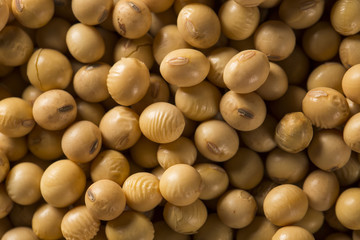 Soy beans