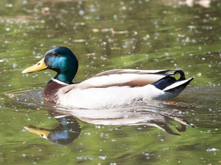 Obraz premium take 2