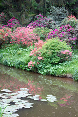 Colorful flowering bushes near river in Pruhonice Park, Prague