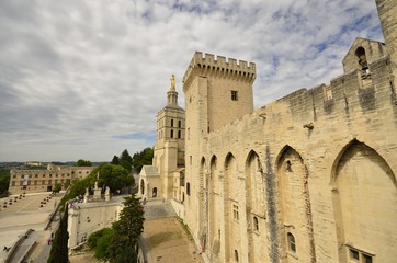 Obraz premium Palais des papes à Avignon