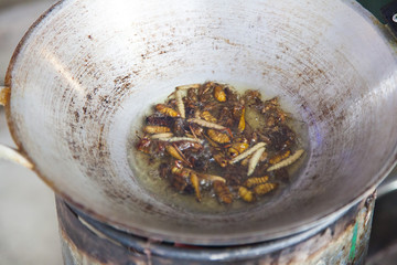 mixed insects deep fried, swimming in boiling oil in a asian wok pan