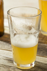 Light Refreshing Summer Craft Beer