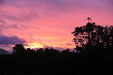 Fototapeta na wymiar Pink Sunset