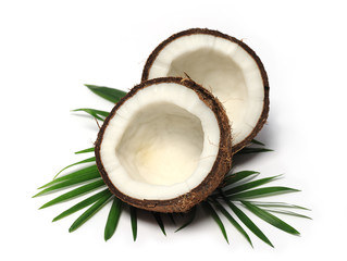coconut close up