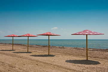 The parasols on the beach
