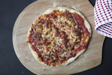 Homemade Cheese Pizza