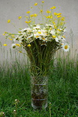 bouquet of white daisies in a vase on a background of gray wall and green grass