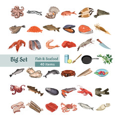 Hand Drawn Colorful Seafood Set