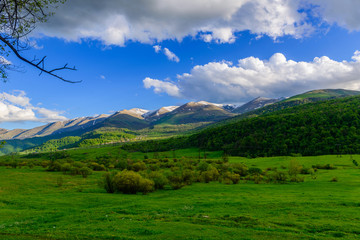 Fototapeta na wymiar Spring landscape with snowy mountains, Pambak range