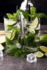 Mojito cocktail with lime and mint in highball glass on a grey s