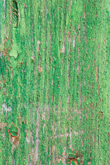 aged wooden plank with decayed green paint texture