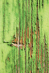Obraz premium aged wooden plank with decayed green paint texture