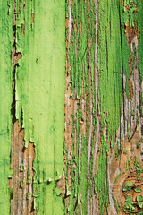 aged wooden plank with decayed green paint texture