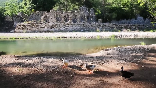 Roman Temple