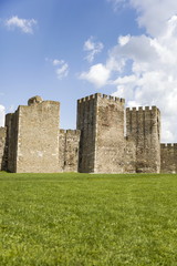Fototapeta na wymiar Smederevo's fortress