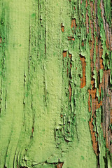 aged wooden plank with decayed green paint texture