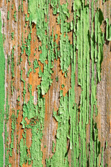 aged wooden plank with decayed green paint texture