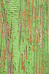 aged wooden plank with decayed green paint texture