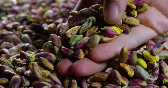 Man touches colorful cleaned pistachio, green, purple, yellow. Concept: salted, nuts, seeds, delicious, healthy, growing on the "tree of life", fresh product, growing in Central Asia, proper nutrition