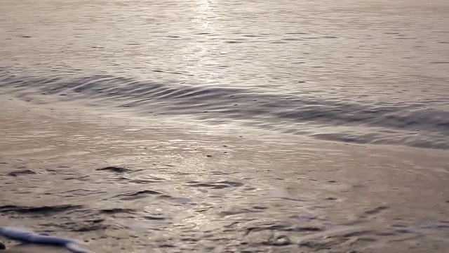 Sea