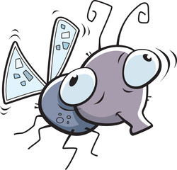 Cartoon Fly