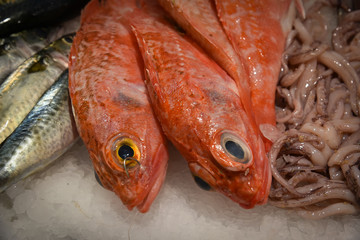 Red sea bream on ice bed  of local store .