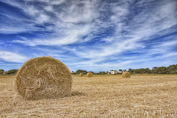 Campo di balle di fieno, Sicilia	