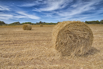 Campo di balle di fieno, Sicilia	