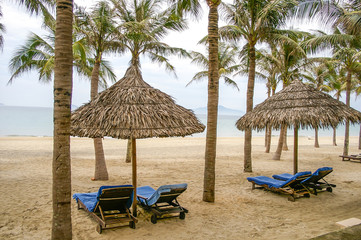 Tropical beach with palm tree's and golden sand in beautiful tropical Vietnam