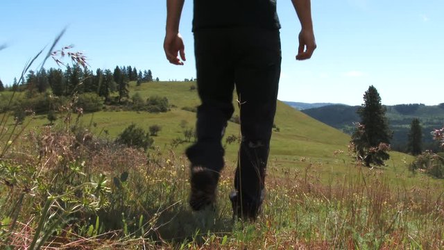 Model released man walks towards hillside through colorful Oregon meadow on clear and peaceful sunny day.