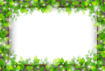 Fototapeta premium 新緑 葉 フレーム 背景