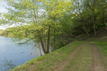 The holly pit in Cabarceno, Cantabria, Spain