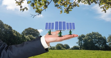 solar panels on hand in field