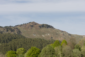 Obraz premium The holly pit in Cabarceno, Cantabria, Spain