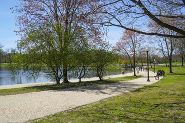 Walkways around Tidal Basin in Washington DC - WASHINGTON, DISTRICT OF COLUMBIA - APRIL 8, 2017
