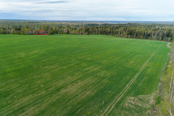 aerial view of green geometric agricultural fields in russia