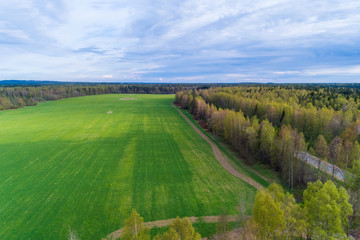 aerial view of green geometric agricultural fields in russia