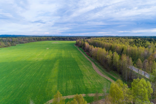 aerial view of green geometric agricultural fields in russia