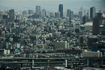 Fototapeta premium 大阪市咲州庁舎からの大阪市街 