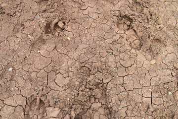 barro grietas