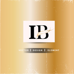 IB Letter Logo Design Concept