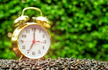 Good morning at 7 o'clock with coffee beans on blurred gold alarm clock and green background. Start up concept in the garden. Close-up and blur.