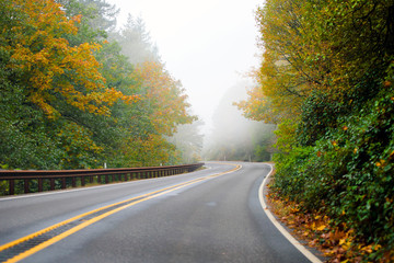 Fototapeta premium Winding highway autumn road disappearing into the fog