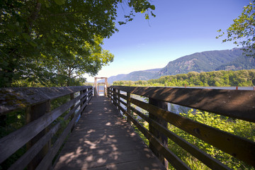 Fototapeta premium Wooden platform with handrail for approach to river