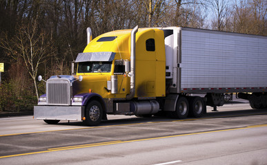 Large classic yellow duckling track